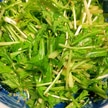 水菜サラダ
